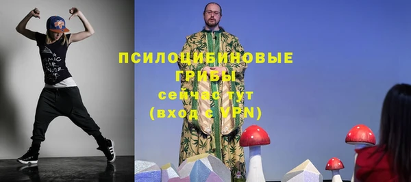 спиды Алексин